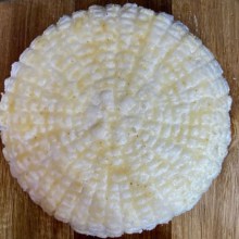 ferm-chesn-0